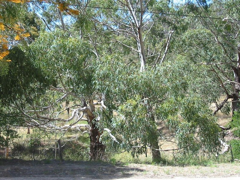 9A Kingrose Street, Macclesfield SA 5153