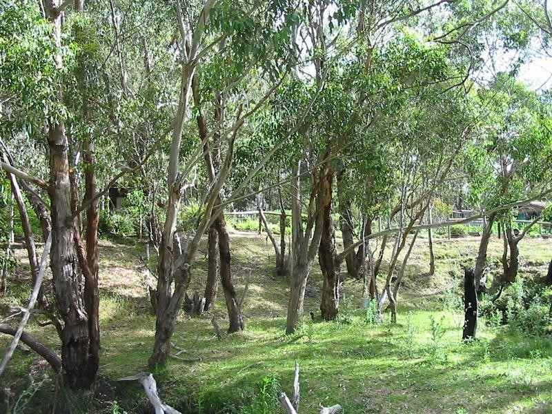 Sec 697 Blackfellows Creek Road, Kuitpo Colony SA 5172