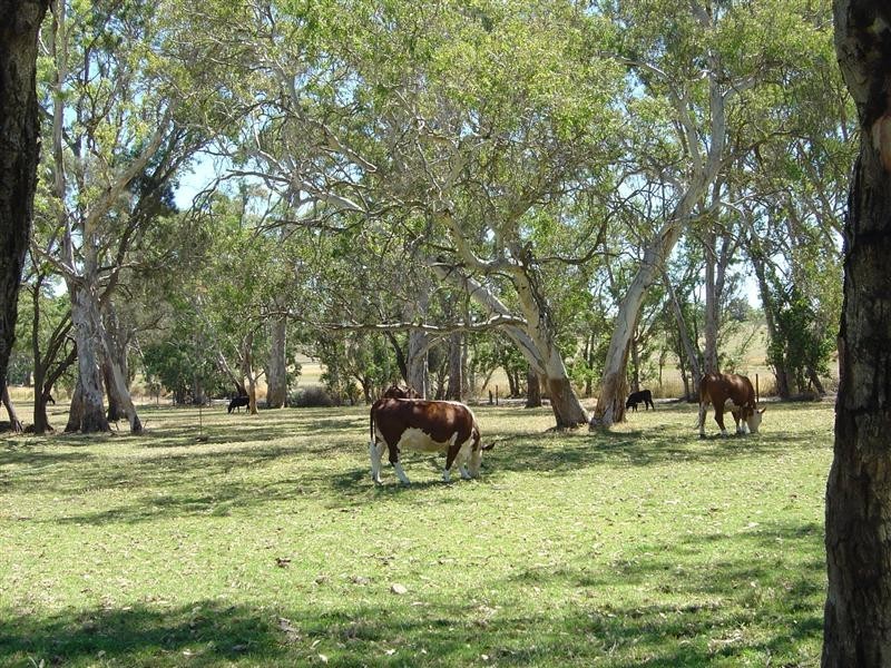 Sec 338 Echunga Road, Meadows SA 5201