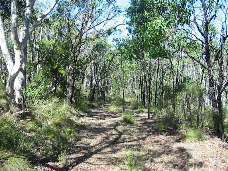 Lot 5 Willis Road, Flaxley SA 5153