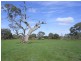 Lot 236 Brookman Road, Meadows SA 5201