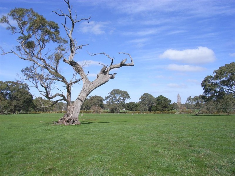 Lot 236 Brookman Road, Meadows SA 5201