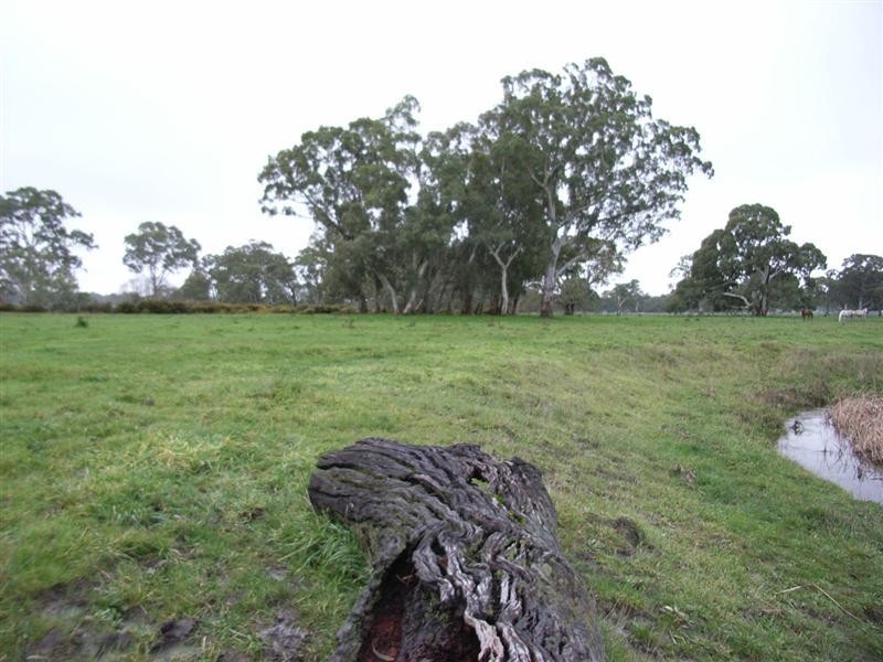 Lot 236 Brookman Road, Meadows SA 5201