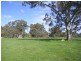Lot 236 Brookman Road, Meadows SA 5201