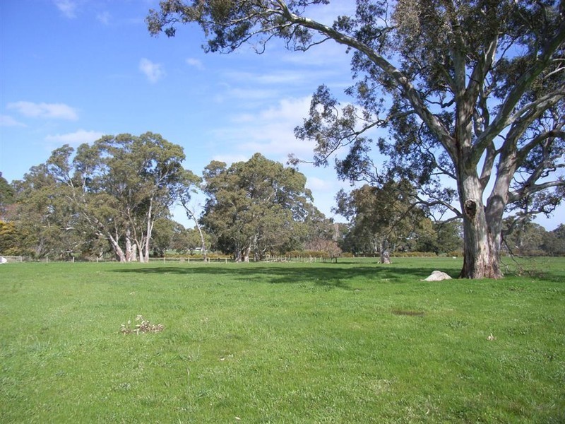 Lot 236 Brookman Road, Meadows SA 5201