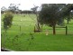 Lot 17 Meadows Road, Hope Forest SA 5172