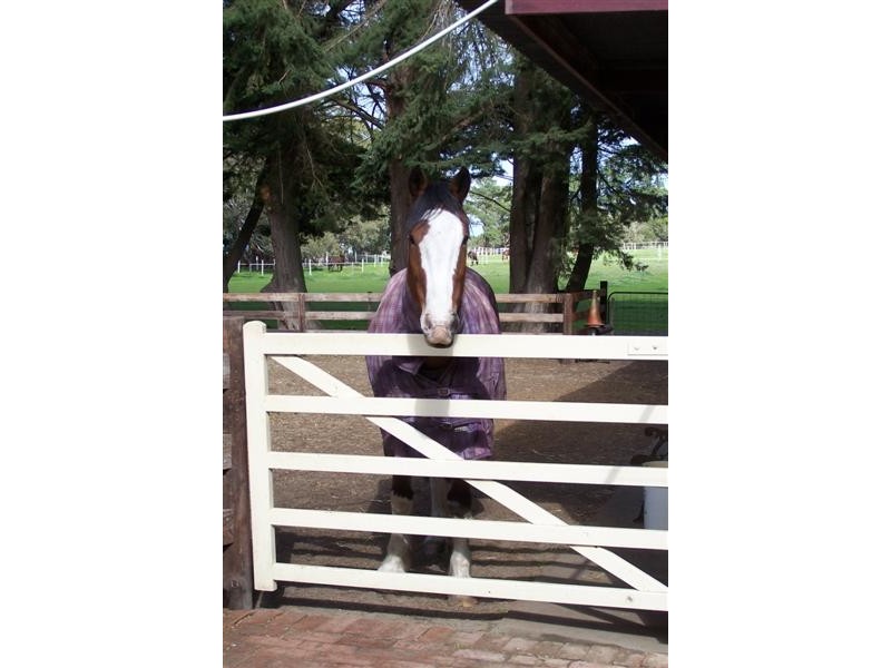 Lot 17 Meadows Road, Hope Forest SA 5172