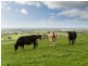 Lot 2 Braeside Road, Finniss SA 5255