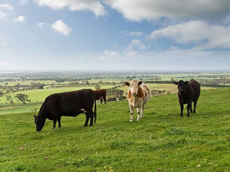 Lot 2 Braeside Road, Finniss SA 5255