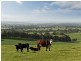 Lot 2 Braeside Road, Finniss SA 5255
