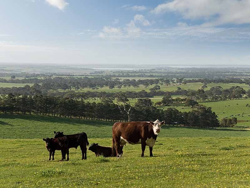 Lot 2 Braeside Road, Finniss SA 5255
