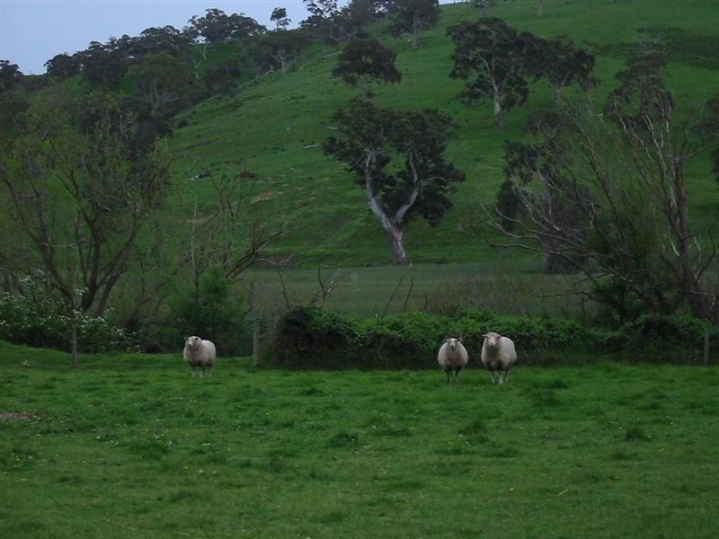 Lot 10 Bulls Creek Road, Ashbourne SA 5157