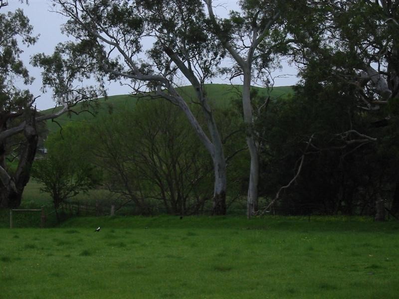 Lot 10 Bulls Creek Road, Ashbourne SA 5157