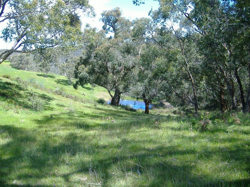 Lot 52 Ti Tree Road, Mcharg Creek SA 5157
