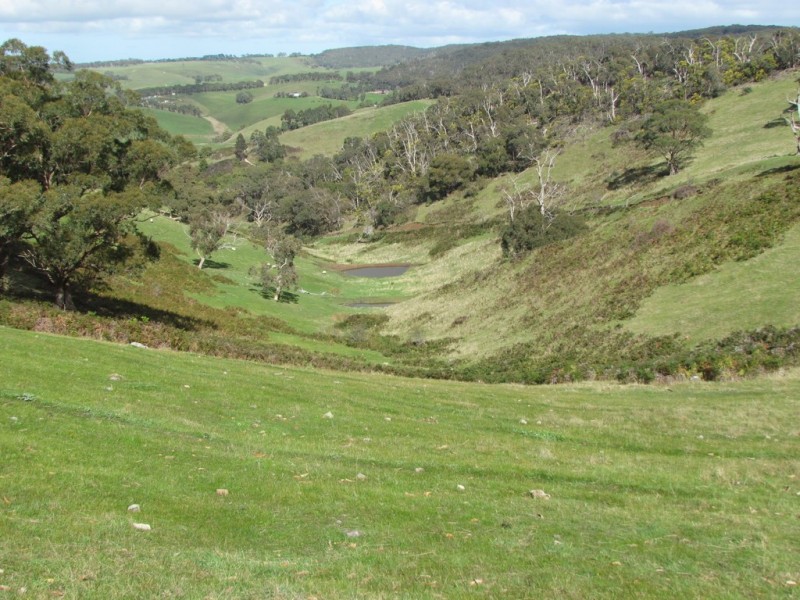 Lot 52 Ti Tree Road, Mcharg Creek SA 5157