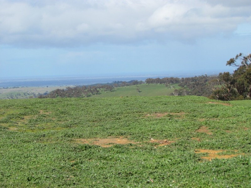 Lot 52 Ti Tree Road, Mcharg Creek SA 5157