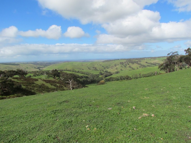 Lot 52 Ti Tree Road, Mcharg Creek SA 5157
