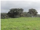Lot 52 Ti Tree Road, Mcharg Creek SA 5157