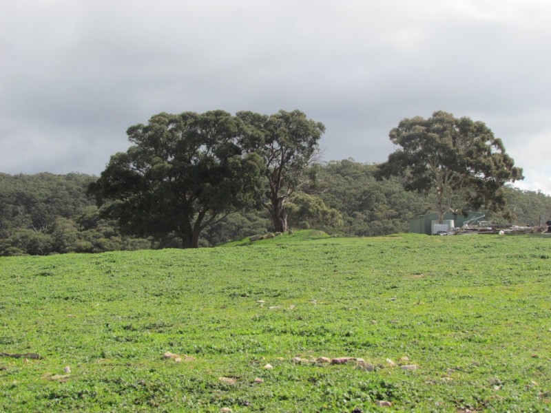 Lot 52 Ti Tree Road, Mcharg Creek SA 5157