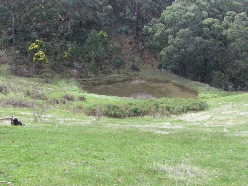 Lot 52 Ti Tree Road, Mcharg Creek SA 5157