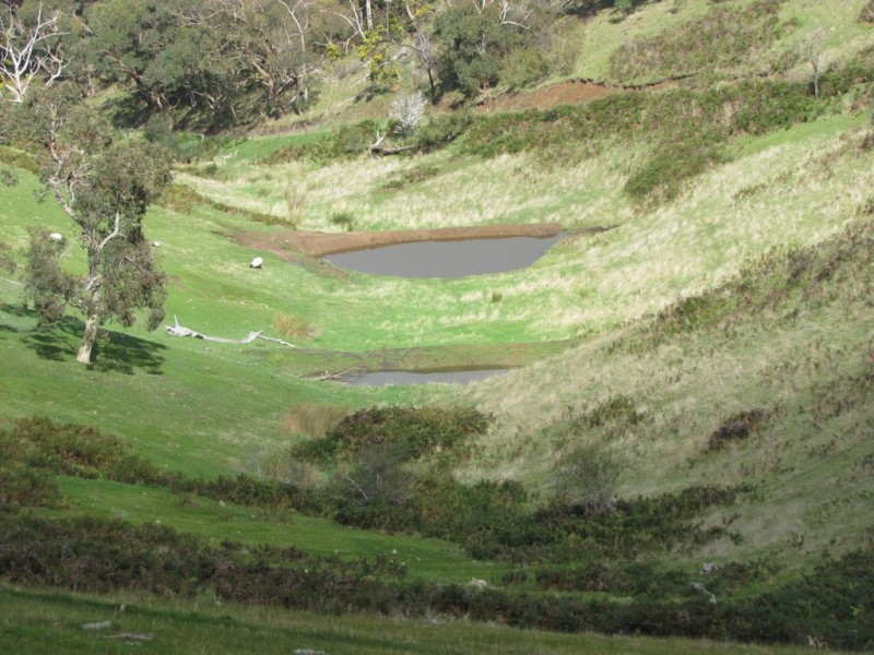Lot 52 Ti Tree Road, Mcharg Creek SA 5157
