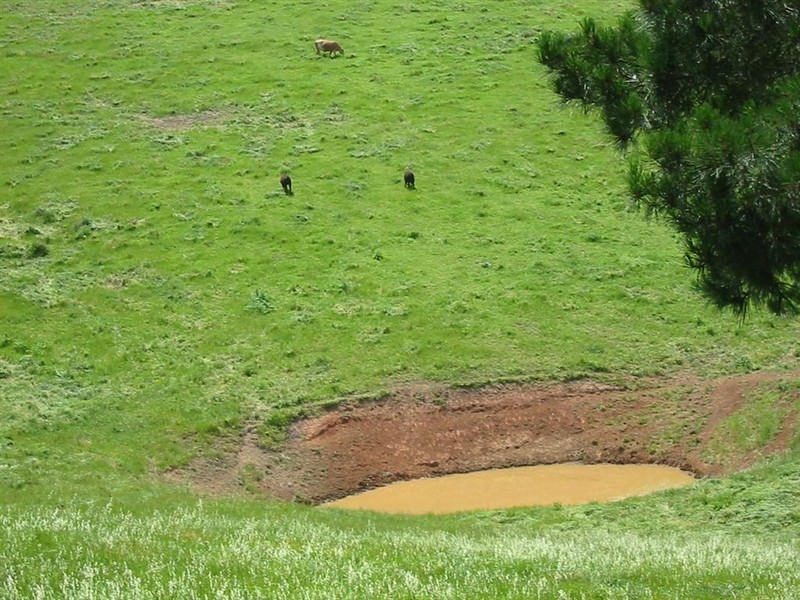 Lot 55 McHarg Creek Road, Mcharg Creek SA 5157