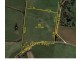 Lot 55 McHarg Creek Road, Mcharg Creek SA 5157