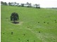 Lot 55 McHarg Creek Road, Mcharg Creek SA 5157