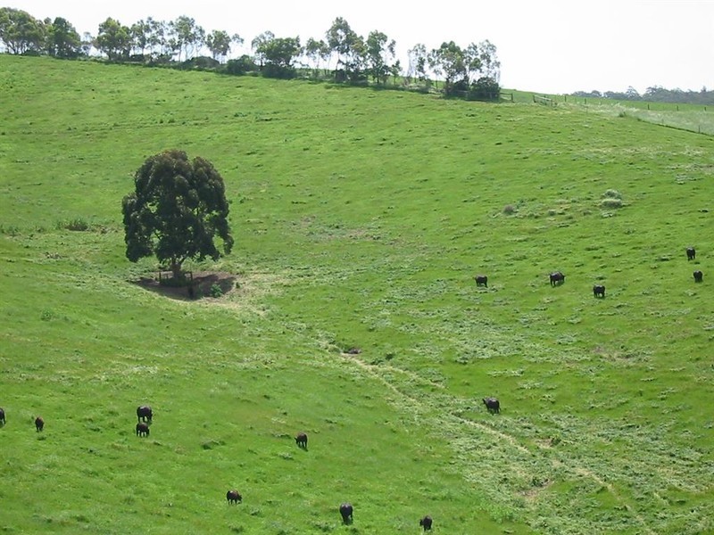 Lot 55 McHarg Creek Road, Mcharg Creek SA 5157