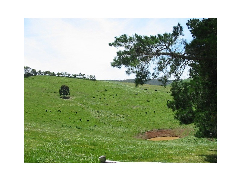 Lot 55 McHarg Creek Road, Mcharg Creek SA 5157