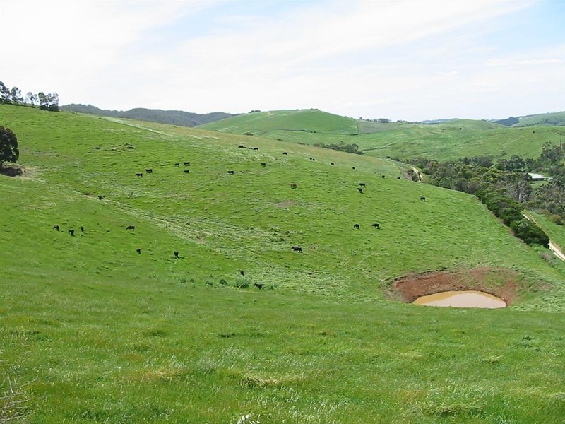 Lot 55 McHarg Creek Road, Mcharg Creek SA 5157