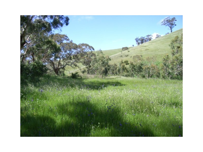 Sec 3342 Goolwa Road, Ashbourne SA 5157