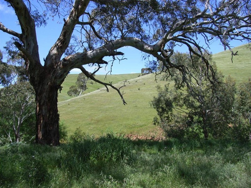 Sec 3342 Goolwa Road, Ashbourne SA 5157