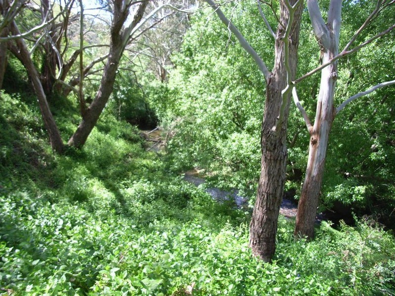 Sec 3342 Goolwa Road, Ashbourne SA 5157