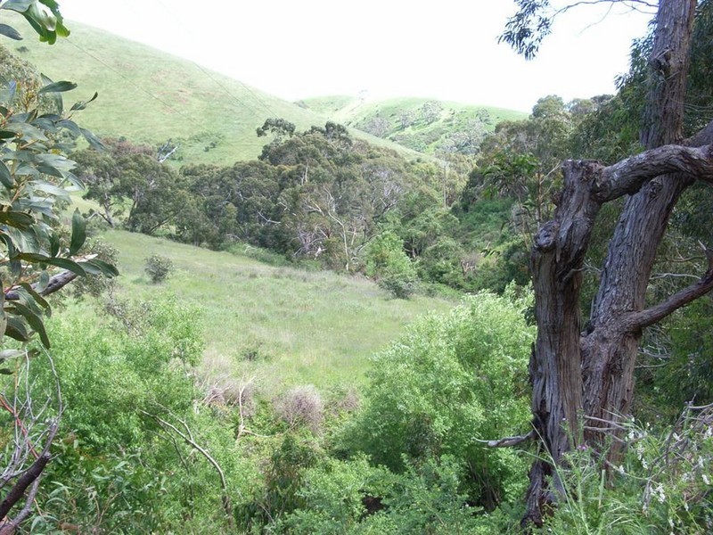 Sec 3342 Goolwa Road, Ashbourne SA 5157