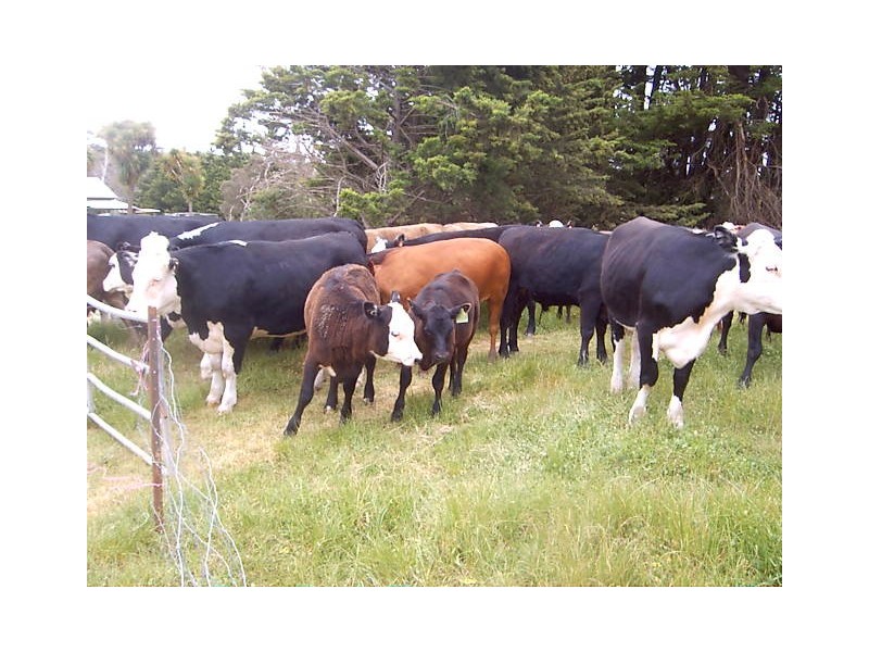 Lot 21 Meadows Road, Hope Forest SA 5172