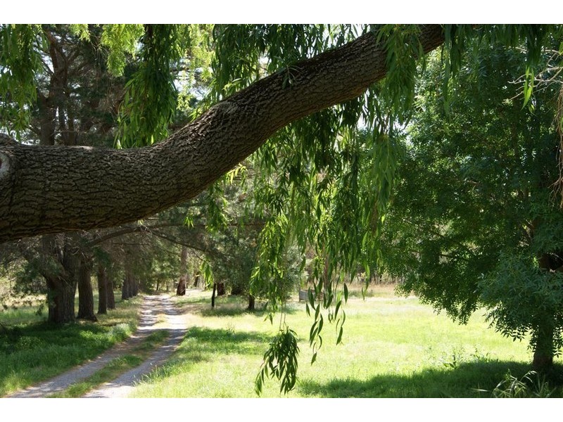 Lot 12 Brunato Road, Blewitt Springs SA 5171