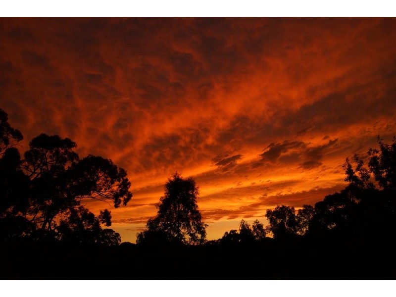 Lot 12 Brunato Road, Blewitt Springs SA 5171