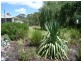 Lot 12 Brunato Road, Blewitt Springs SA 5171