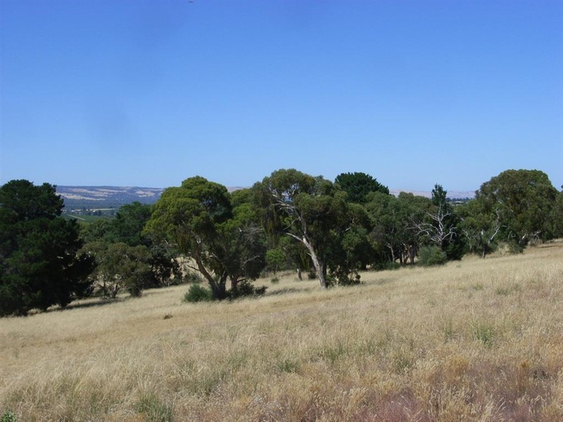 Lot 12 Brunato Road, Blewitt Springs SA 5171