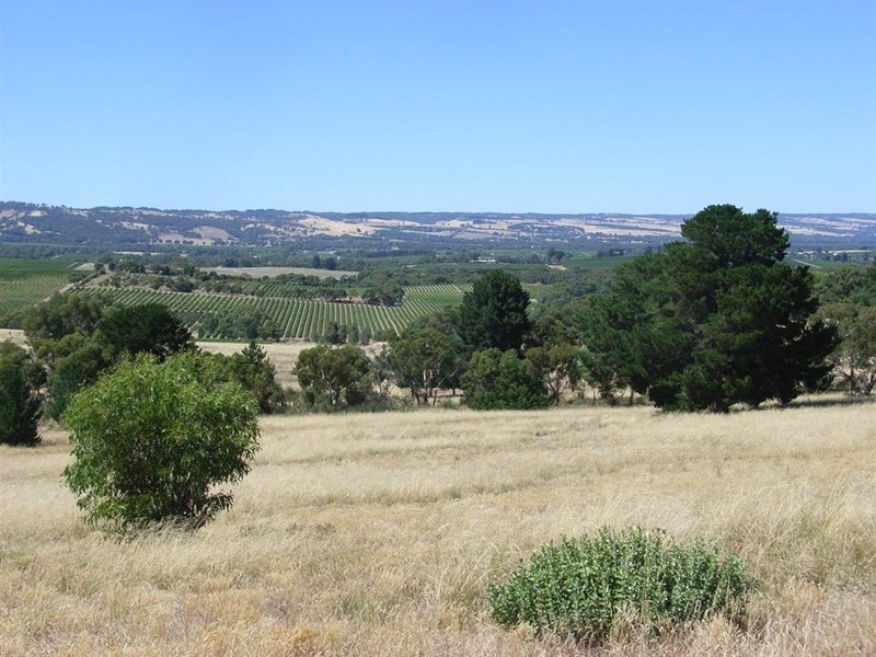 Lot 12 Brunato Road, Blewitt Springs SA 5171