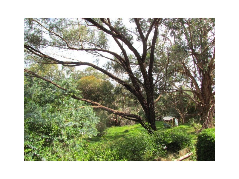 38 Lutterworth Street, Macclesfield SA 5153