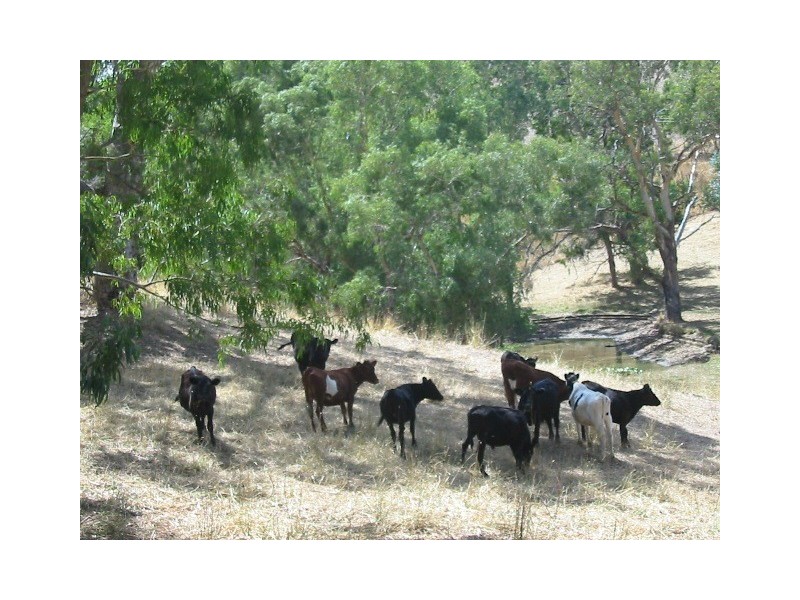 Lot 6 Hillyfields Road, Kangarilla SA 5157