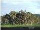 Lot 245 Kondoparinga Road, Meadows SA 5201