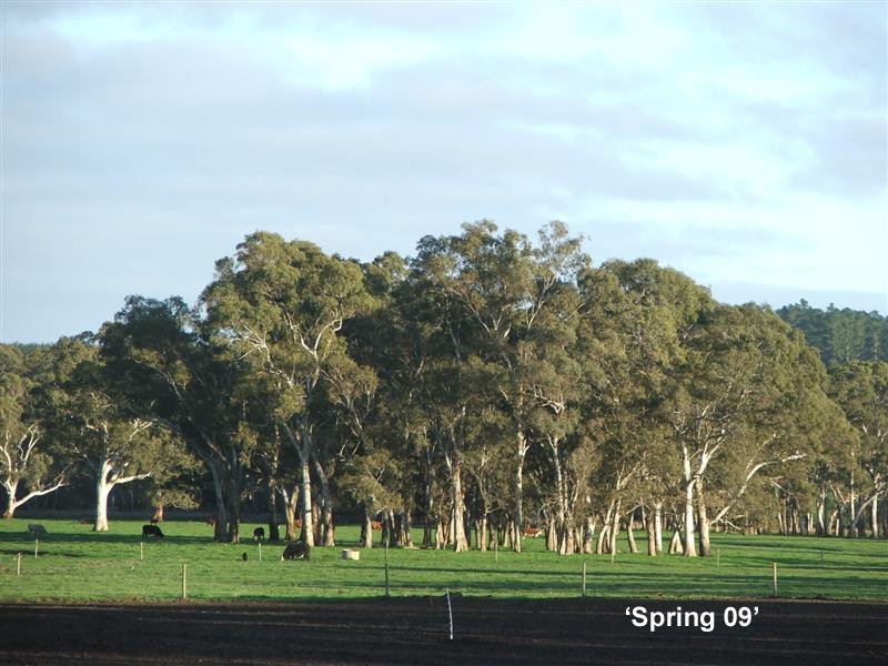 Lot 245 Kondoparinga Road, Meadows SA 5201