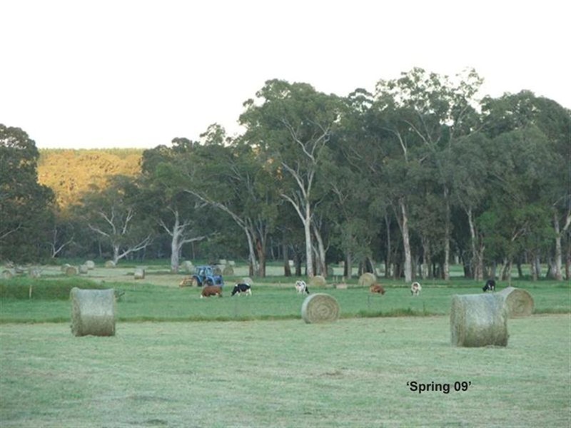 Lot 245 Kondoparinga Road, Meadows SA 5201