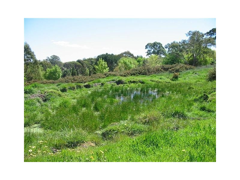 Lot 100 Mill Street, Meadows SA 5201