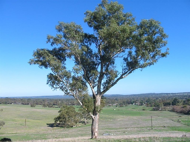 Lot 100 Mill Street, Meadows SA 5201