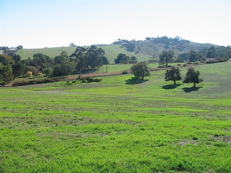 Lot 100 Mill Street, Meadows SA 5201