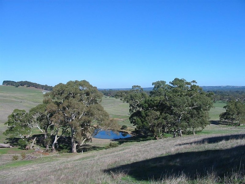 Lot 100 Mill Street, Meadows SA 5201